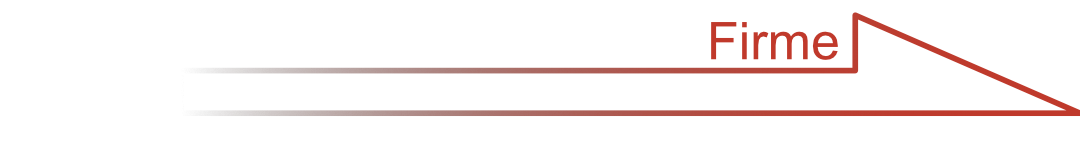 Firme